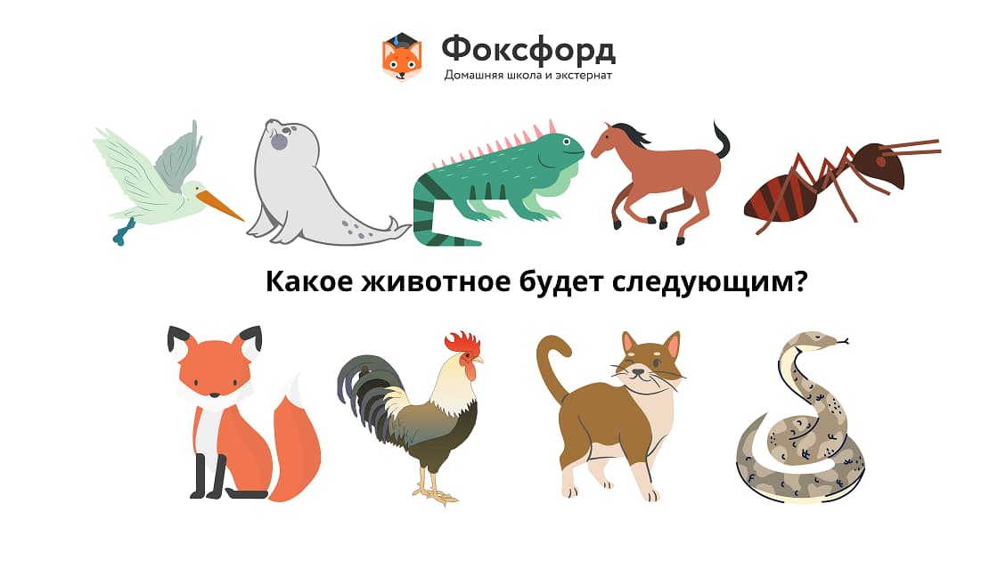 Упражнения на развитие логического мышления